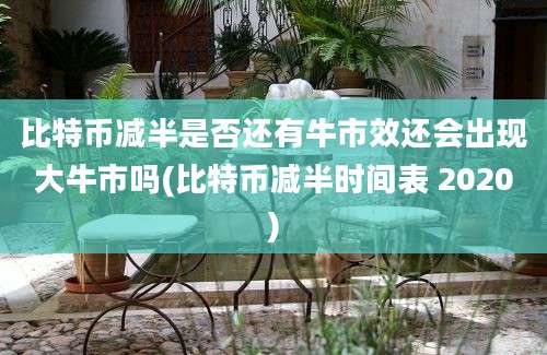 比特币减半是否还有牛市效还会出现大牛市吗(比特币减半时间表 2020)