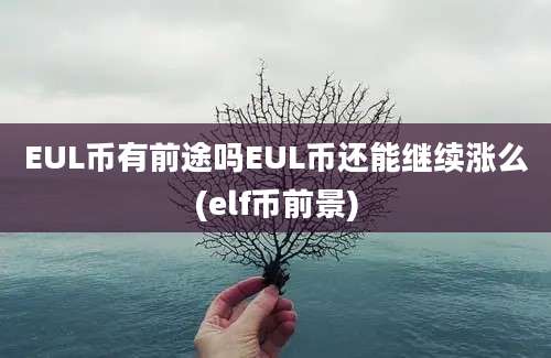 EUL币有前途吗EUL币还能继续涨么(elf币前景)