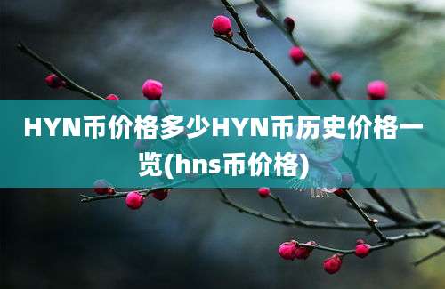 HYN币价格多少HYN币历史价格一览(hns币价格)