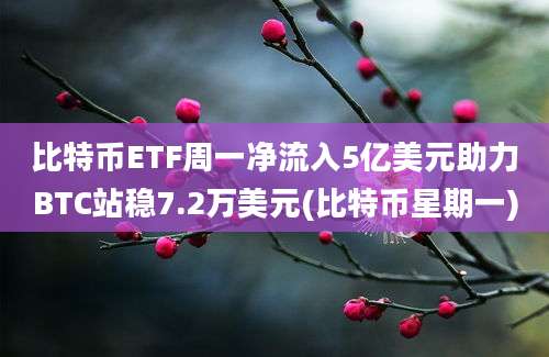 比特币ETF周一净流入5亿美元助力BTC站稳7.2万美元(比特币星期一)