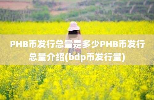 PHB币发行总量是多少PHB币发行总量介绍(bdp币发行量)