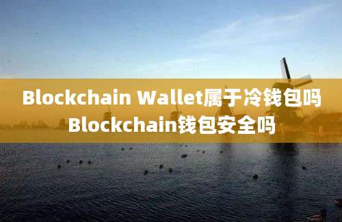 Blockchain Wallet属于冷钱包吗Blockchain钱包安全吗