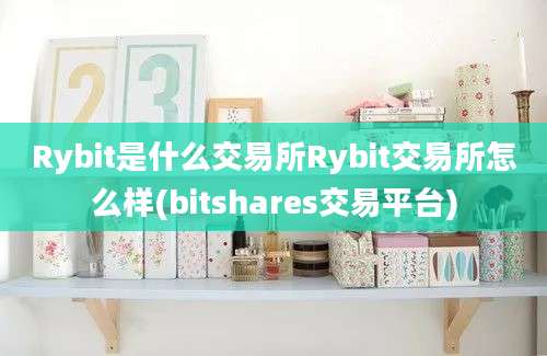 Rybit是什么交易所Rybit交易所怎么样(bitshares交易平台)