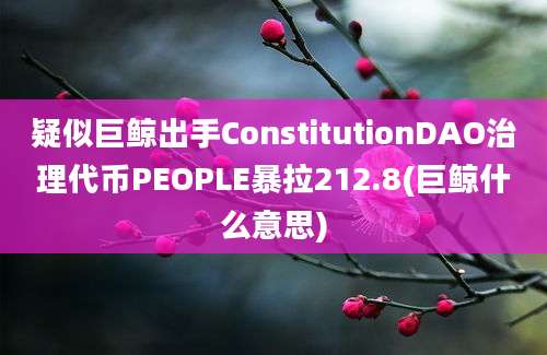 疑似巨鲸出手ConstitutionDAO治理代币PEOPLE暴拉212.8(巨鲸什么意思)