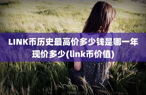 LINK币历史最高价多少钱是哪一年现价多少(link币价值)