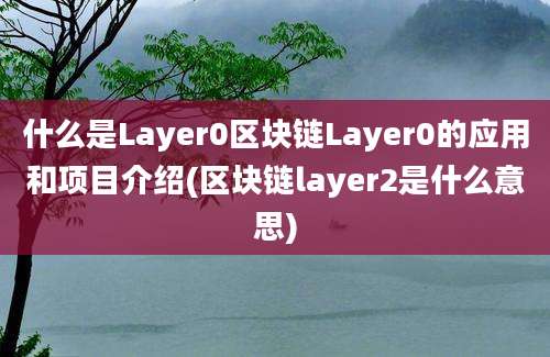 什么是Layer0区块链Layer0的应用和项目介绍(区块链layer2是什么意思)