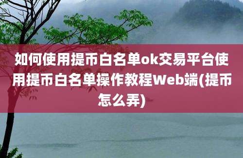 如何使用提币白名单ok交易平台使用提币白名单操作教程Web端(提币怎么弄)