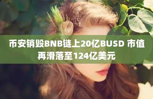 币安销毁BNB链上20亿BUSD 市值再滑落至124亿美元