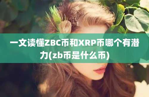 一文读懂ZBC币和XRP币哪个有潜力(zb币是什么币)