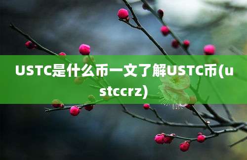 USTC是什么币一文了解USTC币(ustccrz)