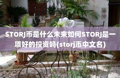 STORJ币是什么未来如何STORJ是一项好的投资吗(storj币中文名)