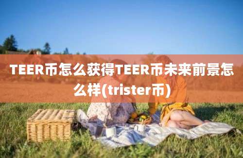 TEER币怎么获得TEER币未来前景怎么样(trister币)