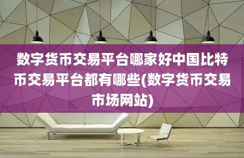 数字货币交易平台哪家好中国比特币交易平台都有哪些(数字货币交易市场网站)