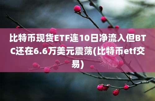 比特币现货ETF连10日净流入但BTC还在6.6万美元震荡(比特币etf交易)