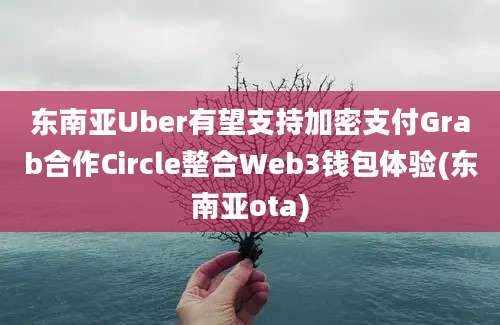 东南亚Uber有望支持加密支付Grab合作Circle整合Web3钱包体验(东南亚ota)