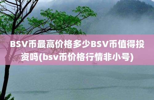 BSV币最高价格多少BSV币值得投资吗(bsv币价格行情非小号)