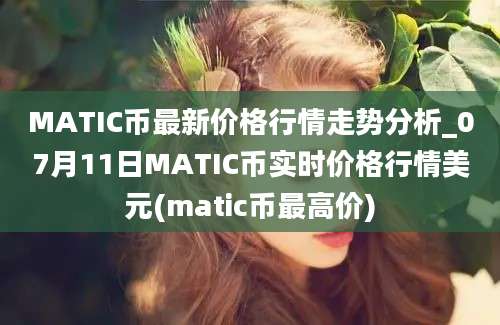 MATIC币最新价格行情走势分析_07月11日MATIC币实时价格行情美元(matic币最高价)