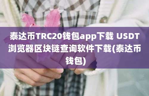 泰达币TRC20钱包app下载 USDT浏览器区块链查询软件下载(泰达币 钱包)