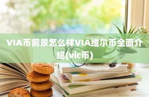 VIA币前景怎么样VIA维尔币全面介绍(vic币)