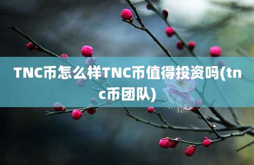 TNC币怎么样TNC币值得投资吗(tnc币团队)