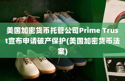 美国加密货币托管公司Prime Trust宣布申请破产保护(美国加密货币法案)