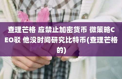 查理芒格 应禁止加密货币 微策略CEO驳 他没时间研究比特币(查理芒格的)