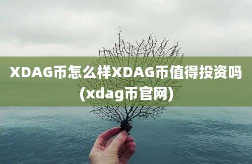 XDAG币怎么样XDAG币值得投资吗(xdag币官网)