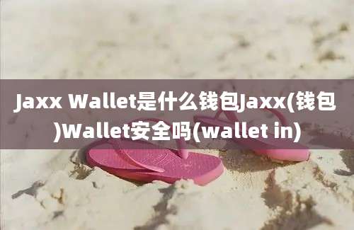 Jaxx Wallet是什么钱包Jaxx(钱包)Wallet安全吗(wallet in)