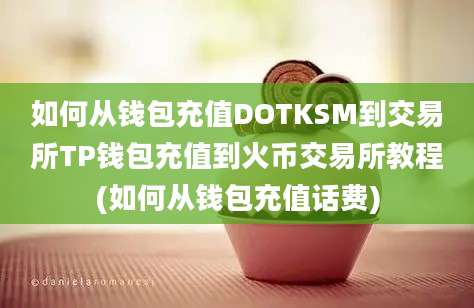 如何从钱包充值DOTKSM到交易所TP钱包充值到火币交易所教程(如何从钱包充值话费)