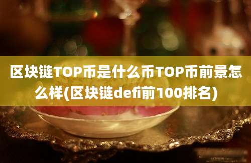 区块链TOP币是什么币TOP币前景怎么样(区块链defi前100排名)