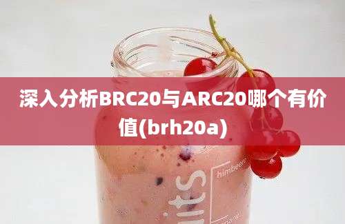 深入分析BRC20与ARC20哪个有价值(brh20a)