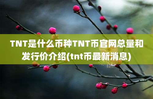 TNT是什么币种TNT币官网总量和发行价介绍(tnt币最新消息)