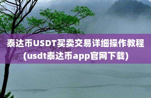 泰达币USDT买卖交易详细操作教程(usdt泰达币app官网下载)