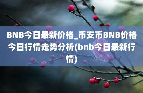 BNB今日最新价格_币安币BNB价格今日行情走势分析(bnb今日最新行情)