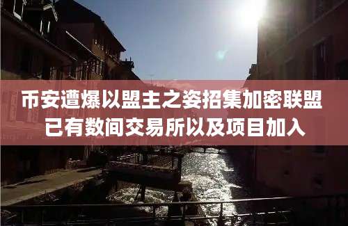 币安遭爆以盟主之姿招集加密联盟 已有数间交易所以及项目加入