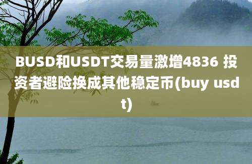 BUSD和USDT交易量激增4836 投资者避险换成其他稳定币(buy usdt)