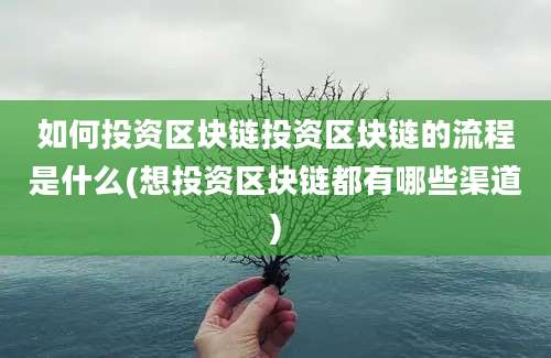 如何投资区块链投资区块链的流程是什么(想投资区块链都有哪些渠道)