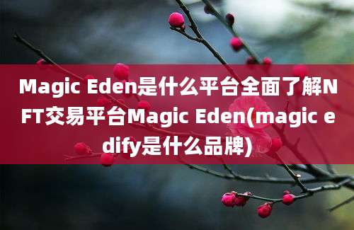 Magic Eden是什么平台全面了解NFT交易平台Magic Eden(magic edify是什么品牌)