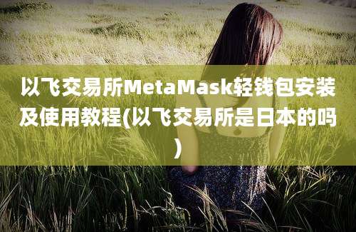 以飞交易所MetaMask轻钱包安装及使用教程(以飞交易所是日本的吗)