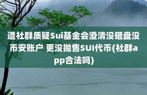 遭社群质疑Sui基金会澄清没砸盘没币安账户 更没抛售SUI代币(社群app合法吗)