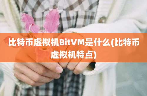 比特币虚拟机BitVM是什么(比特币虚拟机特点)