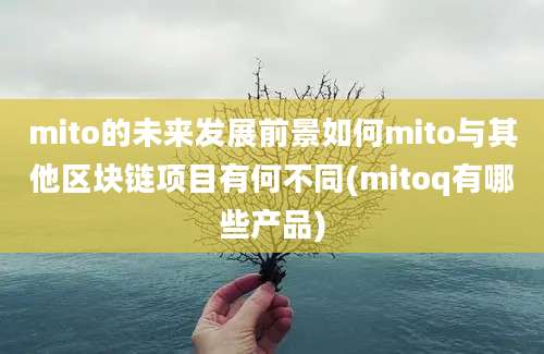 mito的未来发展前景如何mito与其他区块链项目有何不同(mitoq有哪些产品)