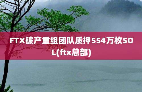 FTX破产重组团队质押554万枚SOL(ftx总部)