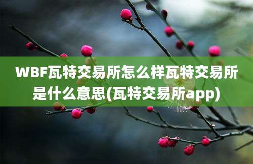 WBF瓦特交易所怎么样瓦特交易所是什么意思(瓦特交易所app)