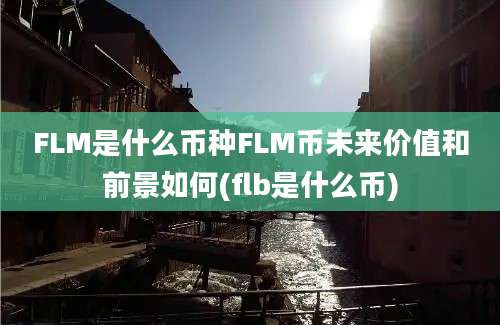 FLM是什么币种FLM币未来价值和前景如何(flb是什么币)