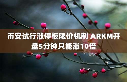 币安试行涨停板限价机制 ARKM开盘5分钟只能涨10倍