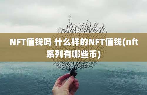 NFT值钱吗 什么样的NFT值钱(nft系列有哪些币)