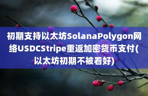 初期支持以太坊SolanaPolygon网络USDCStripe重返加密货币支付(以太坊初期不被看好)