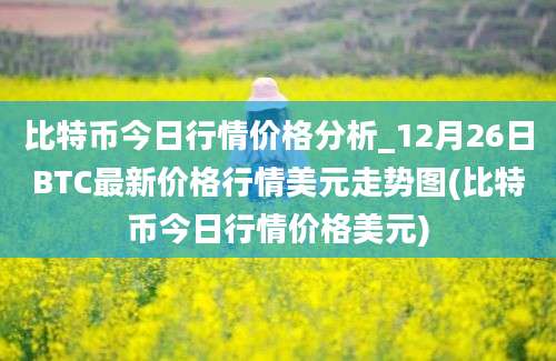 比特币今日行情价格分析_12月26日BTC最新价格行情美元走势图(比特币今日行情价格美元)