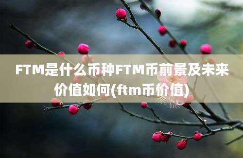 FTM是什么币种FTM币前景及未来价值如何(ftm币价值)